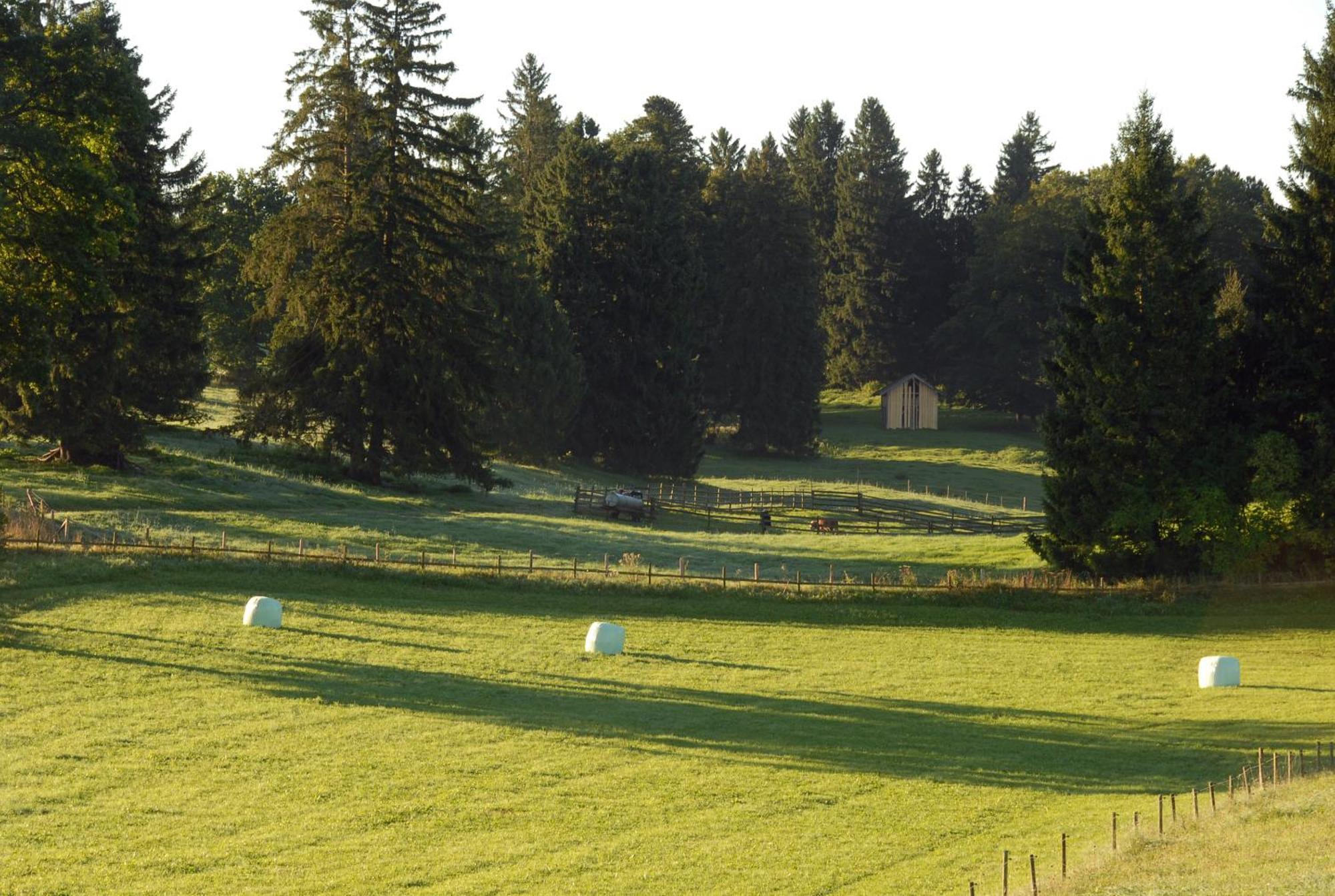 فندق Zweilindenhof سيشوبت المظهر الخارجي الصورة